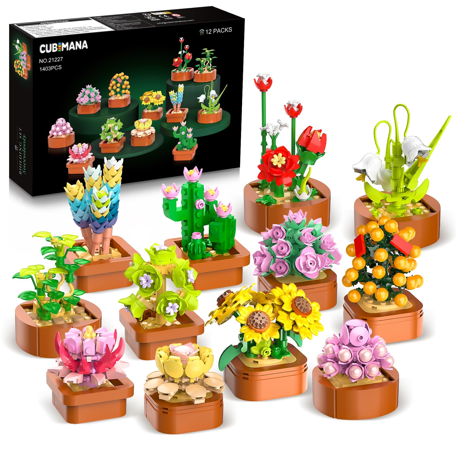 CUBIMANA — Toygame Canada