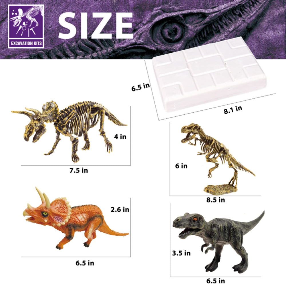 10Leccion kid using dino dig kit during curious learning and exploration