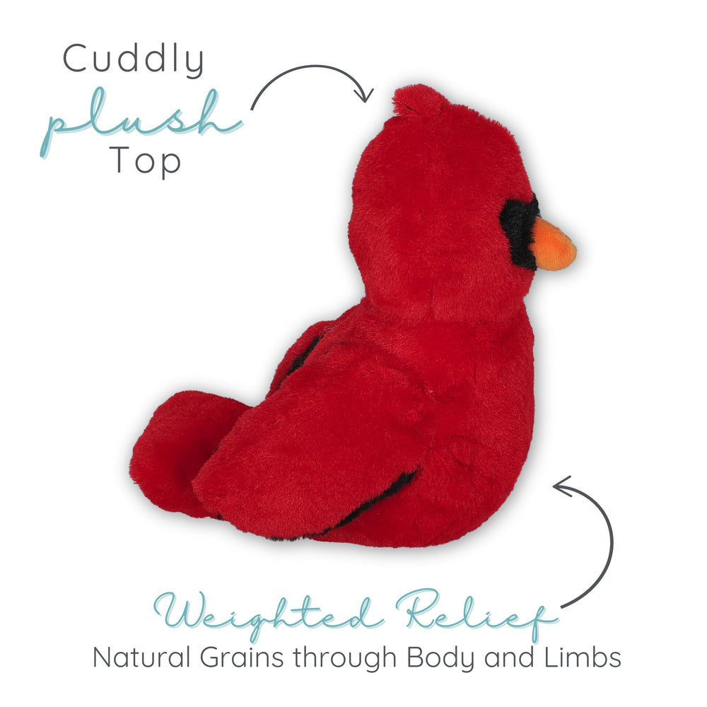 Kid-friendly Cardinal design ideal for playtime and comfort.