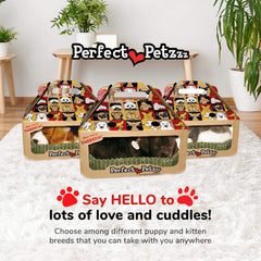 88 Unlimited Perfect Petzzz Black Lab handcrafted fur detail with realistic texture