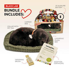88 Unlimited Perfect Petzzz Black Lab soft plush body ideal for cuddling