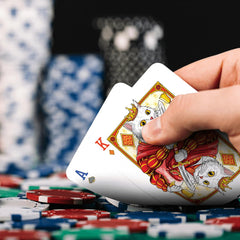 99FOX Noblific Cats playing cards group night ideal for family gatherings.