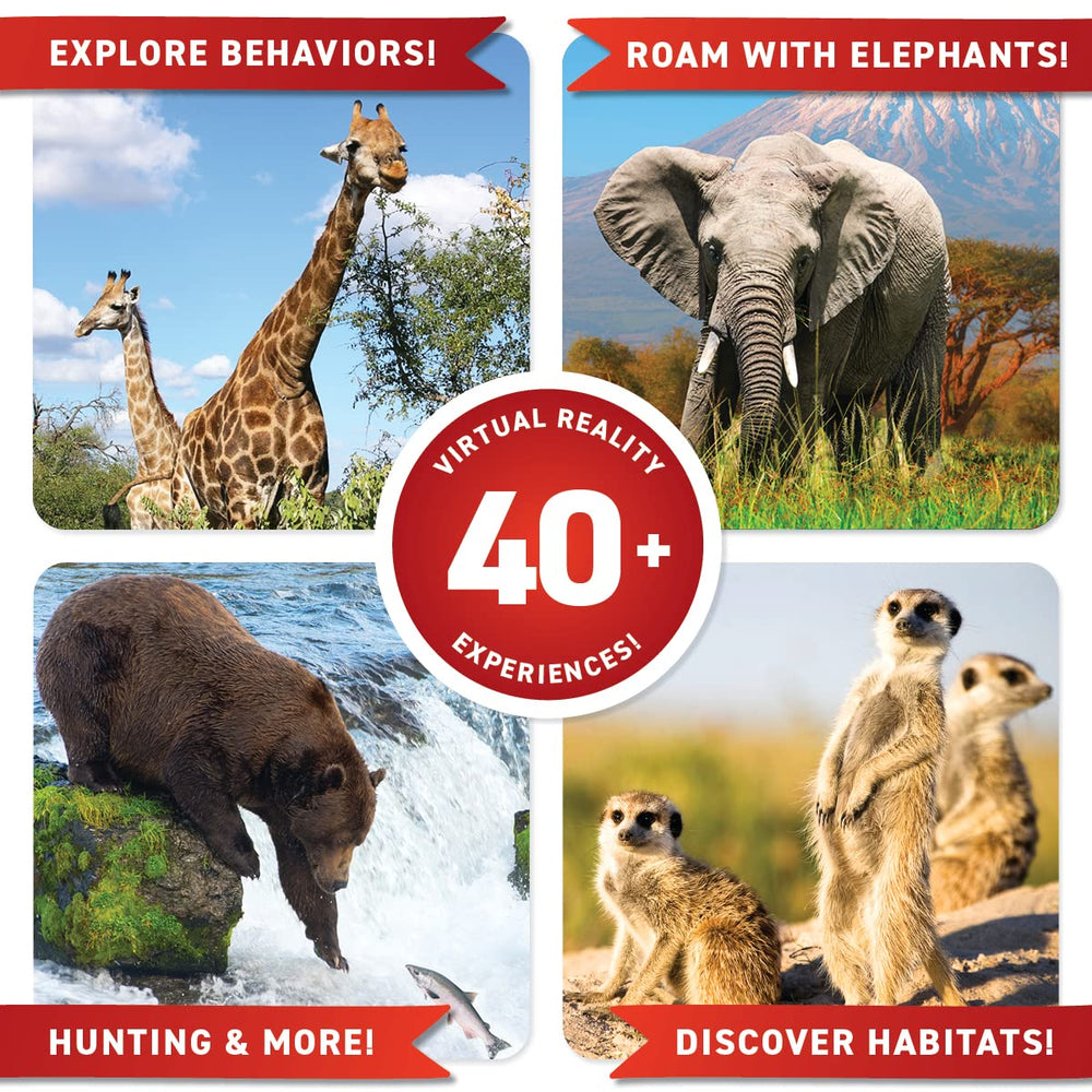 Abacus Brands learning box fits ages 8 to 99 for interactive exploration.
