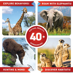 Abacus Brands learning box fits ages 8 to 99 for interactive exploration.