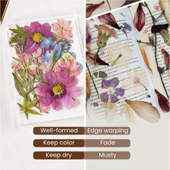 Aboofx blotting paper shields petals from light for color.