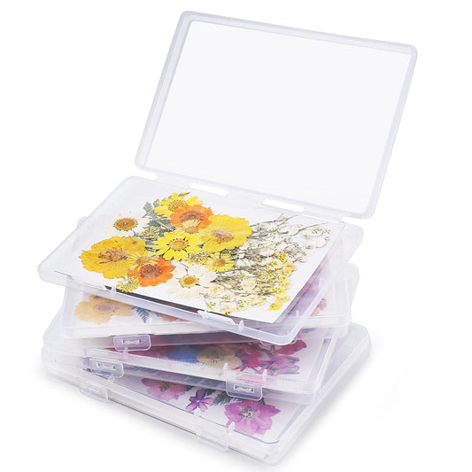 Aboofx dried flower storage boxes keep color vibrant and organized.