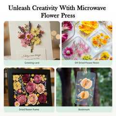 Aboofx ready-to-use kit ideal for DIY pressed flowers and crafts.