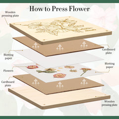 Aboofx Flower Press Kit detailed instructions guide beginners