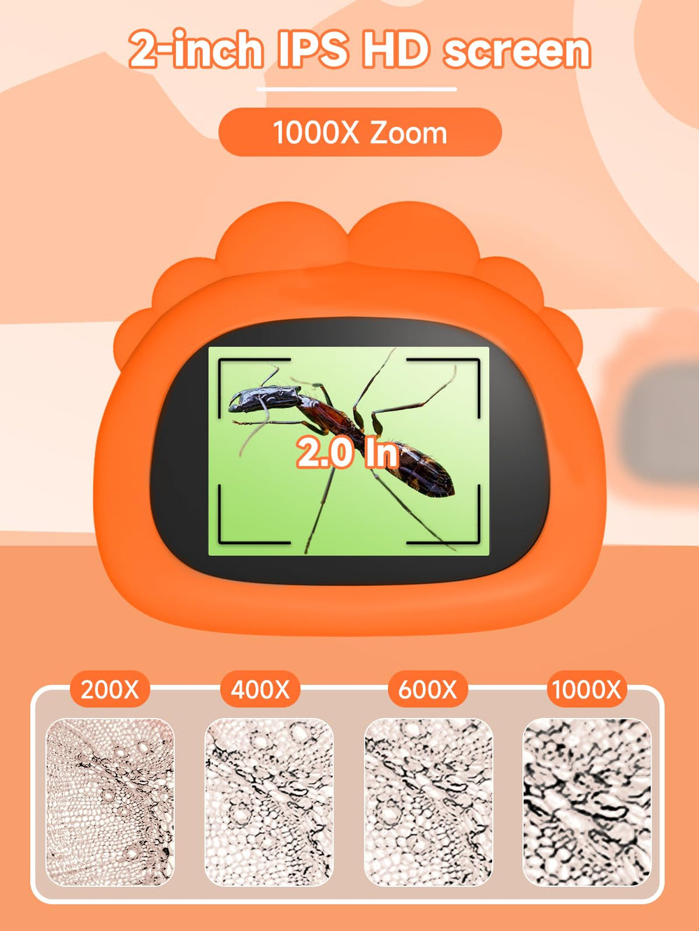 Acoath 1000X magnification lets kids observe tiny details up close.
