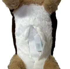 Coco stomach pouch with Velcro open reveals removable sound box for interactive play