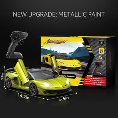 Aeroquest Lamborghini RC Car adjustable speed settings for beginners and pros