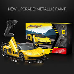 AEROQUEST Lamborghini RC car in action with two batteries for extended playtime.