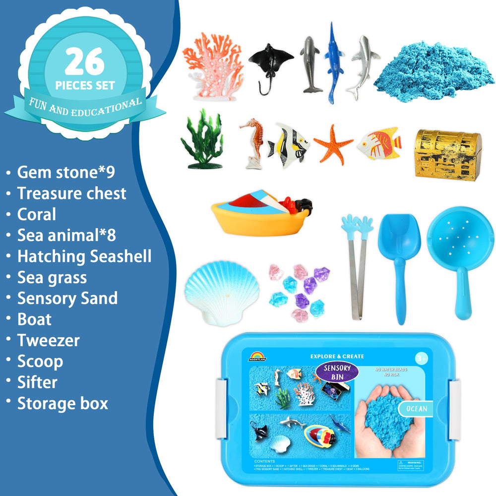 AGENTLAN Ocean Sensory Bin hatching seashell for discovery and exploration.