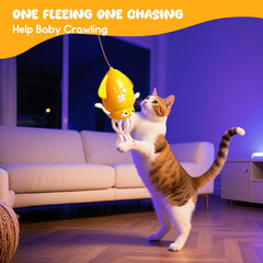 AiDolls octopus toy acts as a pet companion for playful interaction
