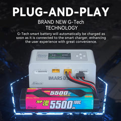 Alaohu IMARS D300 compact charger ready for travel.