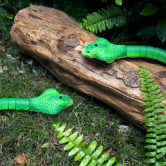 AMCHSURI gift ready prank toy for kids during holidays.