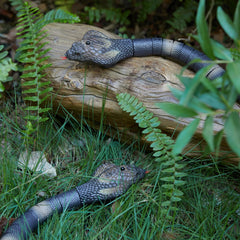AMCHSURI RC snake side profile highlighting realistic scales for indoor play