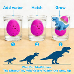 AMENON colorful dino eggs in six colors stimulate curiosity
