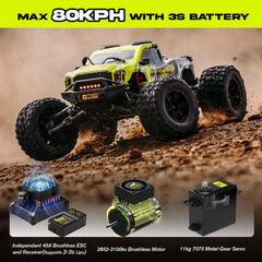 AMORIL 1/10 RTR chassis construction highlighting durability