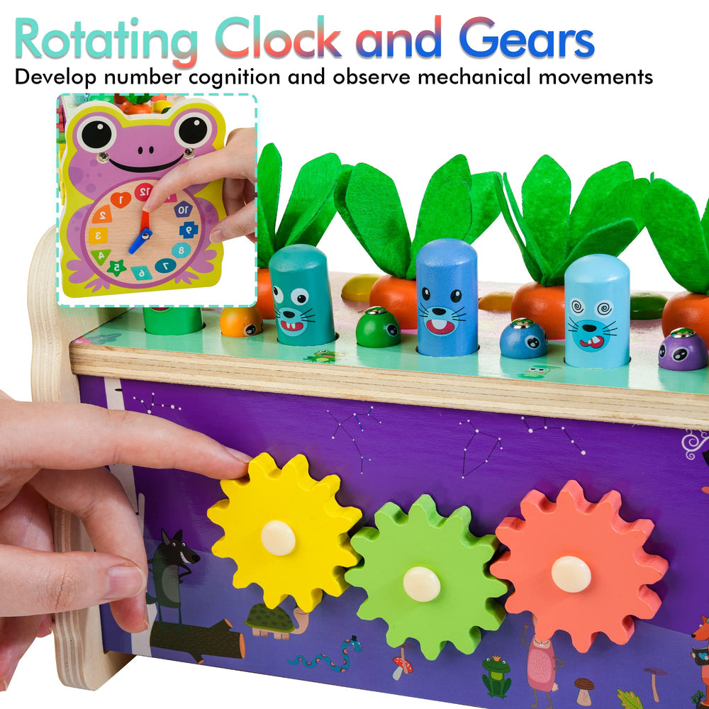 Amtreen number and time cognition image introduces early time concepts.