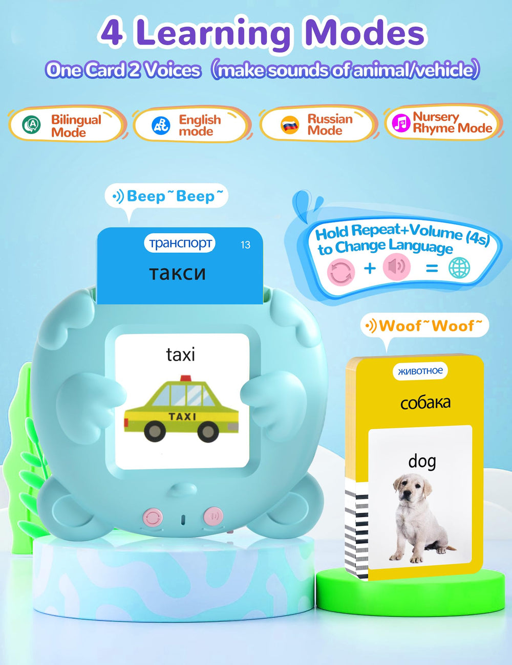 ANhovno 255 double-sided cards ready for broad vocabulary learning.