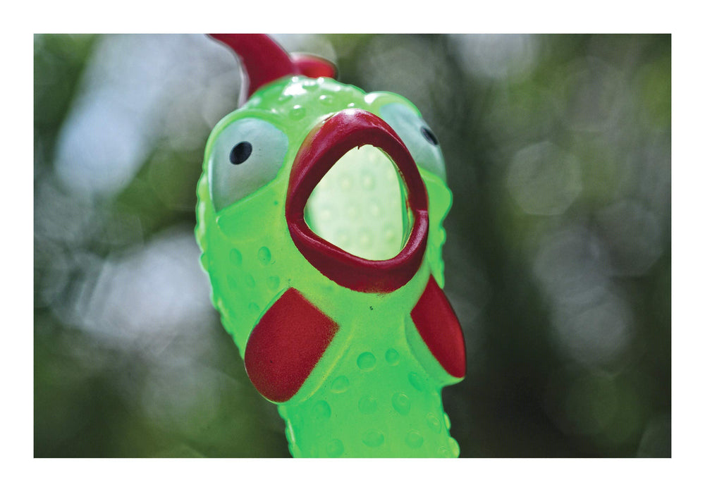 Animolds Squeeze Me office gag gift, lighthearted desk humor.