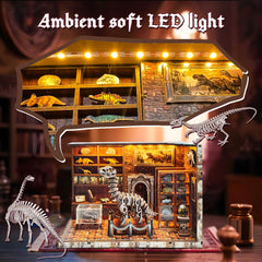 ANTREATU detailed fossil display diorama elevates shelf decor.