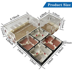 Ants Footsteps nest inspection shows transparent acrylic for daily activity.
