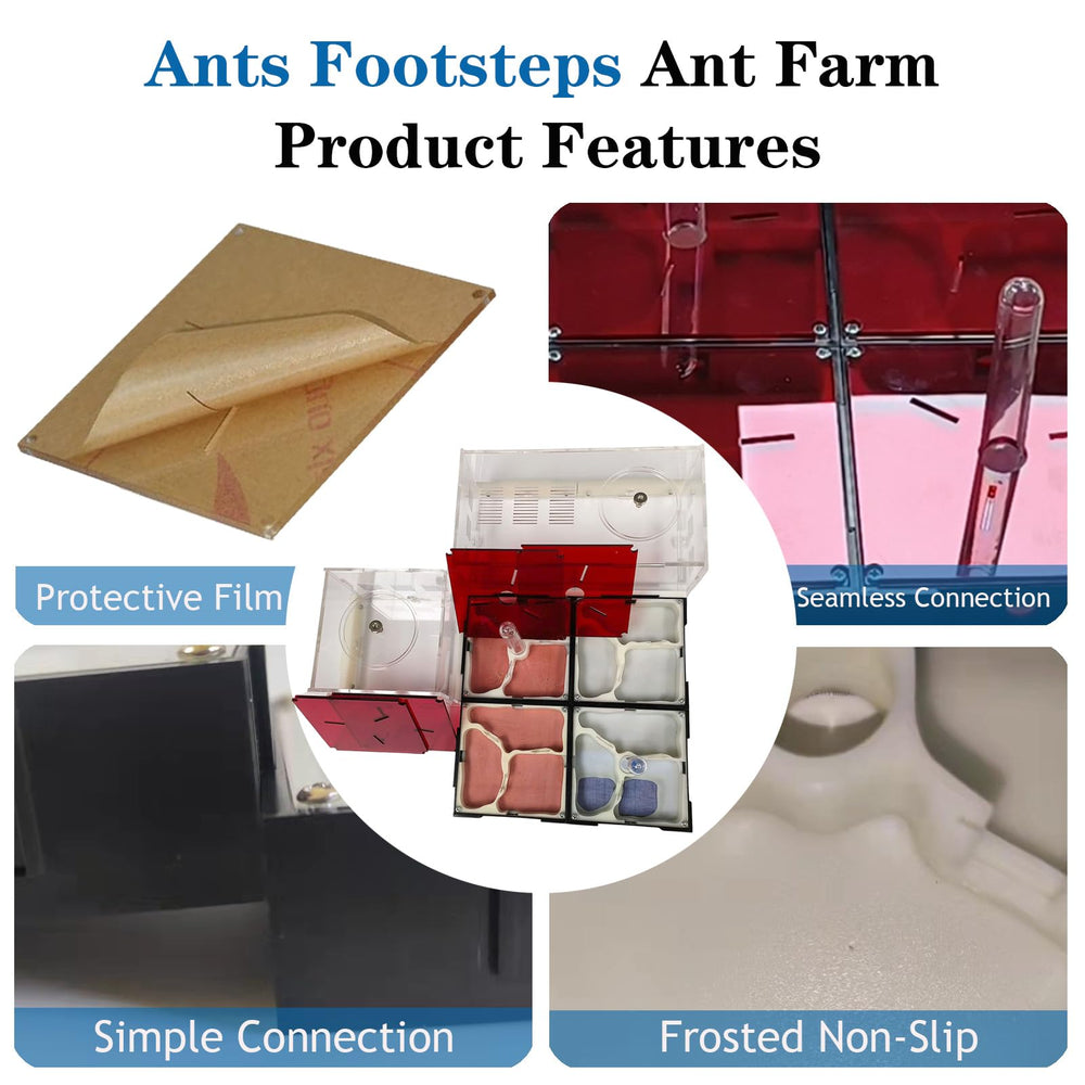 Ants Footsteps water tower view enables hydration monitoring and nest stability checks.