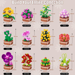 Anvure Gift Idea Mini Plant Set blends play with décor.