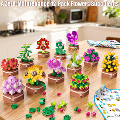 Anvure Potted Mini-Plants Display is perfect for desks.