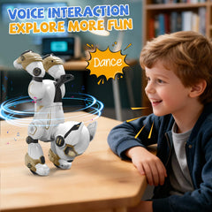 AnySun robot dog dancing and singing to entertain kids.