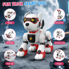 AnySun Robot Dog supports STEM-friendly programming with action ideas.