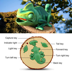 Aontess child-friendly design invites imaginative play and simple remote control use.