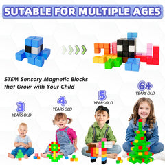 Apluses magnetic blocks compatible with farm, road, and animal themed cubes for expanded play