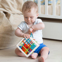 Aprilwolf BPA-free design supports safe, everyday exploration for little hands.