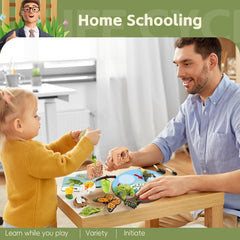 Aprilwolf Life Cycle Kit rooster figure introduces poultry life cycles vividly.