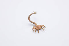 Hiya Toys Exquisite Mini Series ready for photography and collection display.