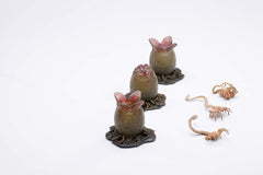 Hiya Toys Exquisite Mini Series six eggs in varying release stages.