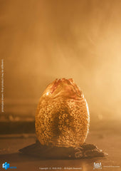 Hiya Toys Exquisite Mini Series three facehuggers for dynamic posing.