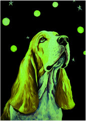 Art of Socks Starry Night glow in the dark stars add magical night detail for relaxing weekends