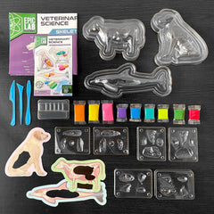 ArtSkills Epic Lab polymer clay set with bright colors for sculpting organs