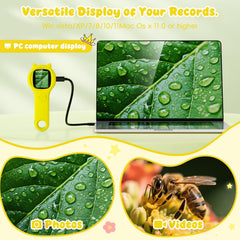 Ashfly 200x magnification with 4x zoom for detailed close-ups.