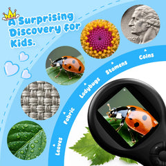 Capture photos and videos directly from the Ashfly microscope for easy sharing.