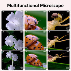 Ashfly Miniscope examining coins and leaves for educational exploration