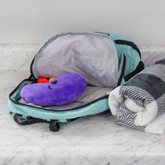 Colorful Attatoy kidney plush supports friendly health discussions.