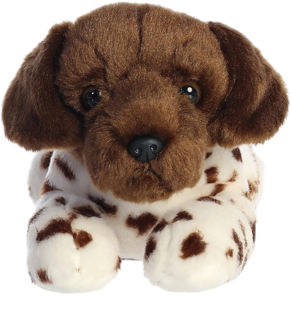 Aurora Gio German Shorthair Flopsie ears highlight playful expression for gentle snuggles.