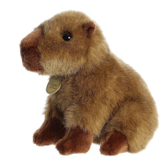 Aurora Miyoni capybara plush hang tag offers species info for curious fans and collectors.