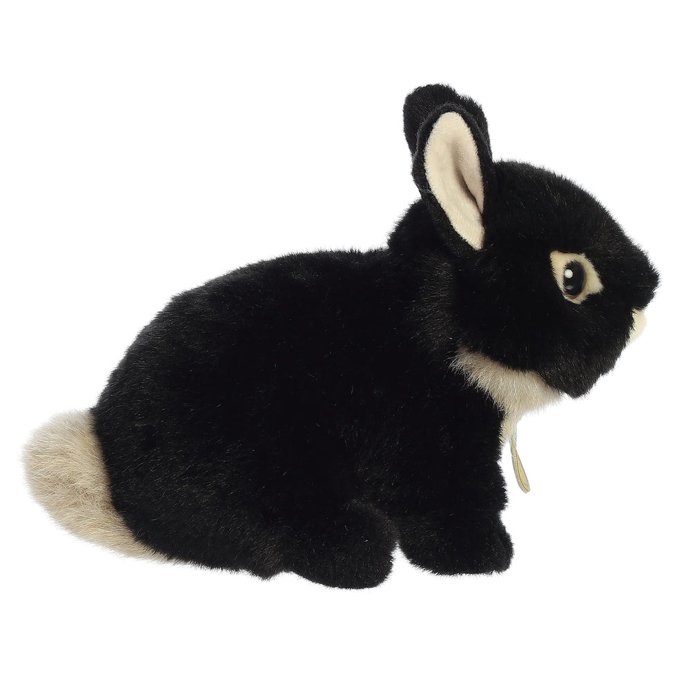 Compact size Miyoni Tots Netherland Dwarf Bunny ready for shelves or desks