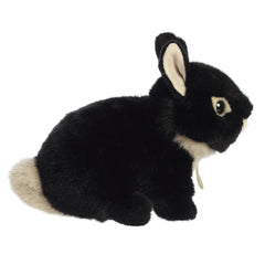 Compact size Miyoni Tots Netherland Dwarf Bunny ready for shelves or desks
